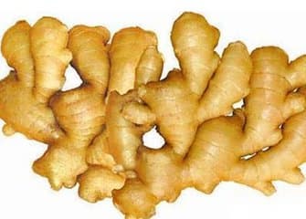 Whole sale fresh ginger in China